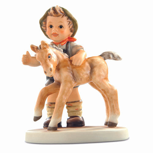 Curious Colt - HUM 2311